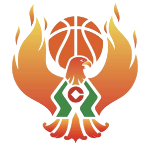 https://img.kuwo2010.com/img/basketball/team/09b49d34027e0409a4de3295f8c71a2d.png