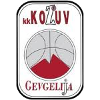 https://img.kuwo2010.com/img/basketball/team/4b06fe02aaa7da5901e5698485059da0.png